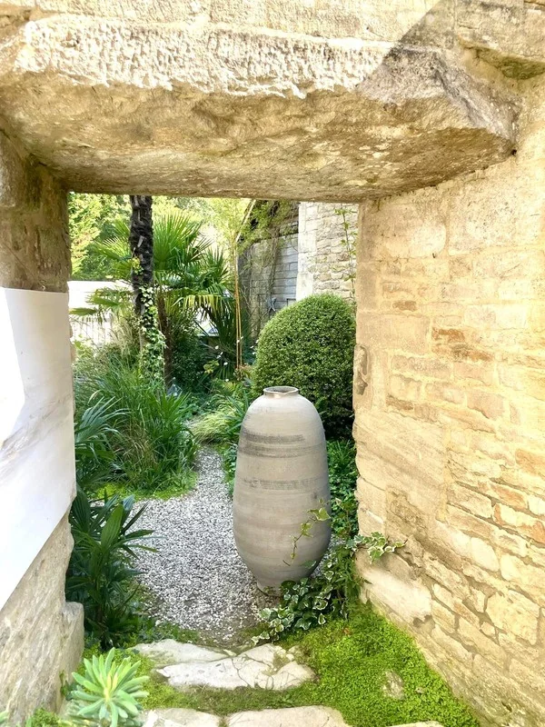 Olivio blanc dans un passage de pierre