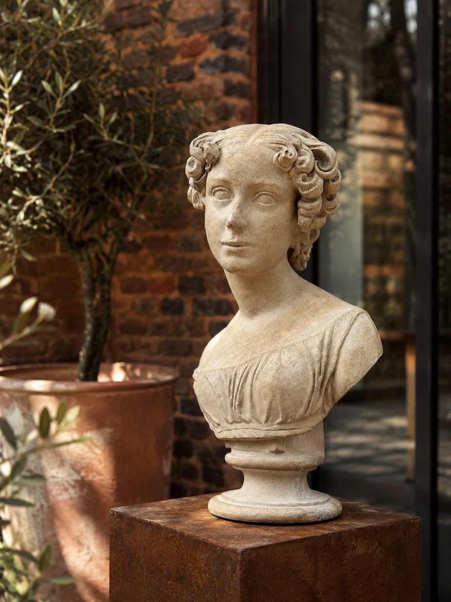ROSA I — vue complémentaire 2